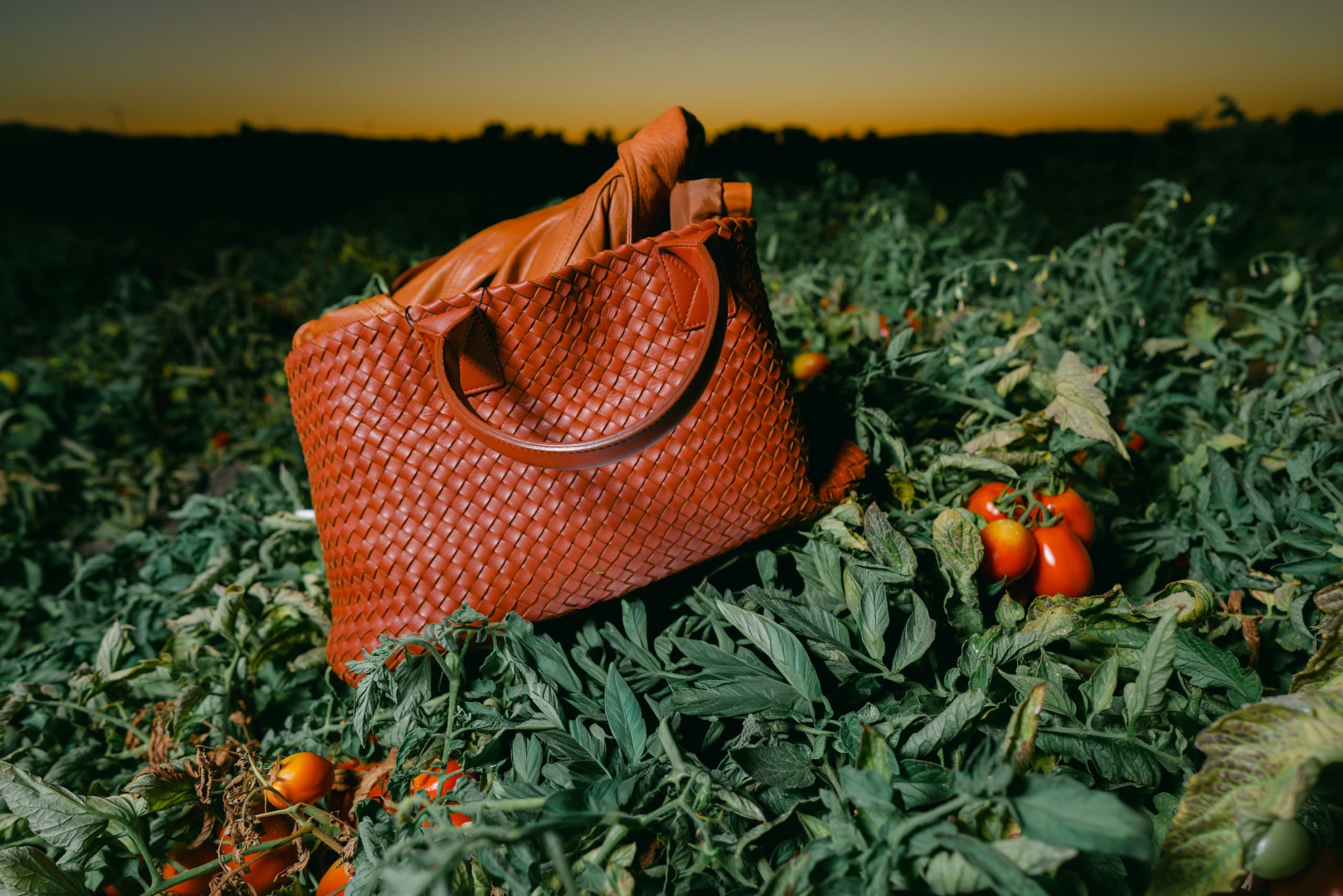 A cognac woven leather tote lying in a tomato field at sunset, ripe tomatoes beside it